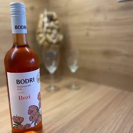 Idevar-lak 公寓 韦伦采